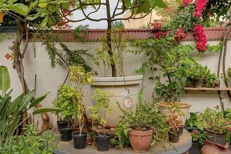 Eden Garden Villa By Jadecaps Nr Mg Road Garden Bangalore Esterno foto