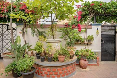 Eden Garden Villa By Jadecaps Nr Mg Road Garden Bangalore Esterno foto